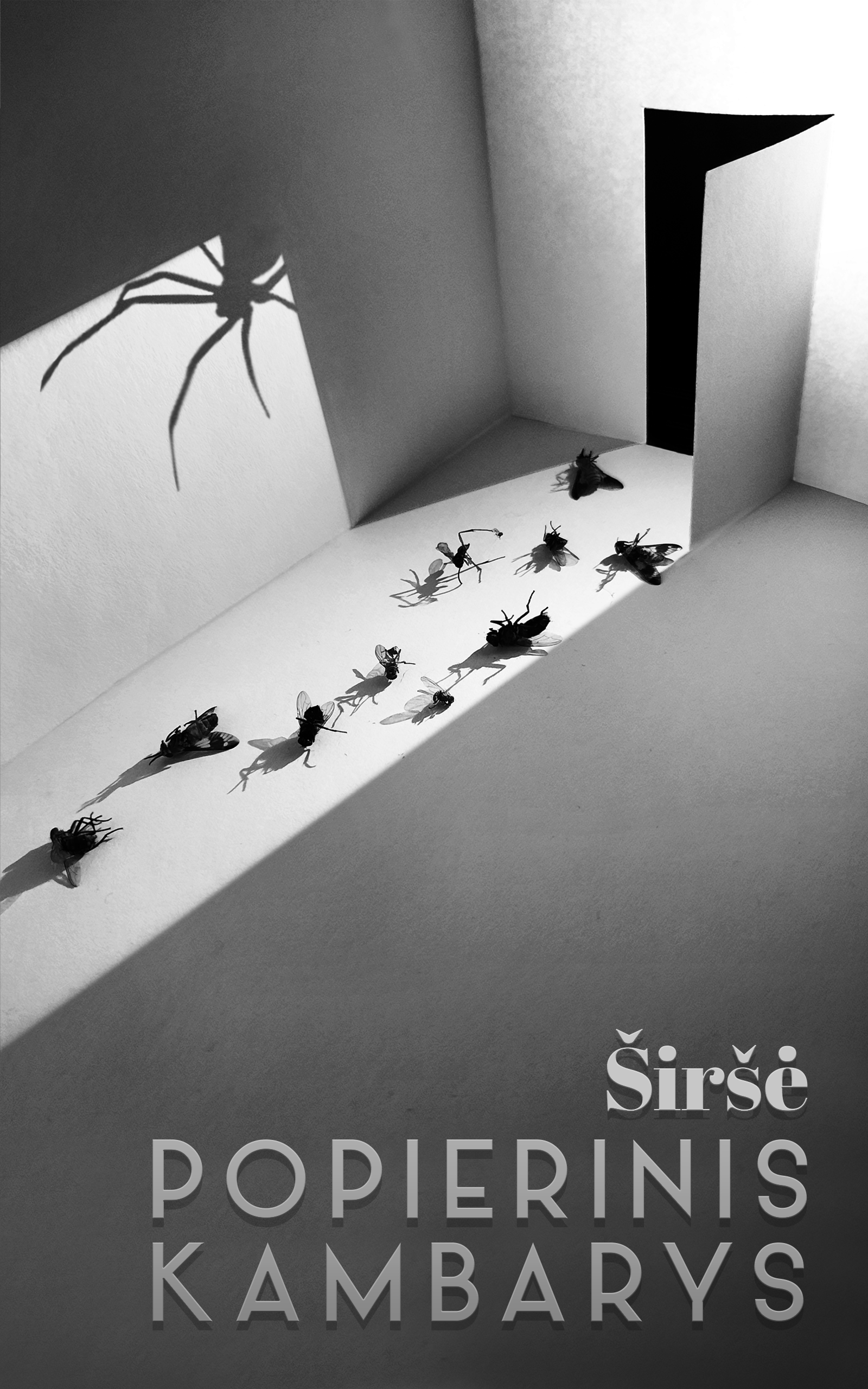 Popierinis kambarys (ebook)