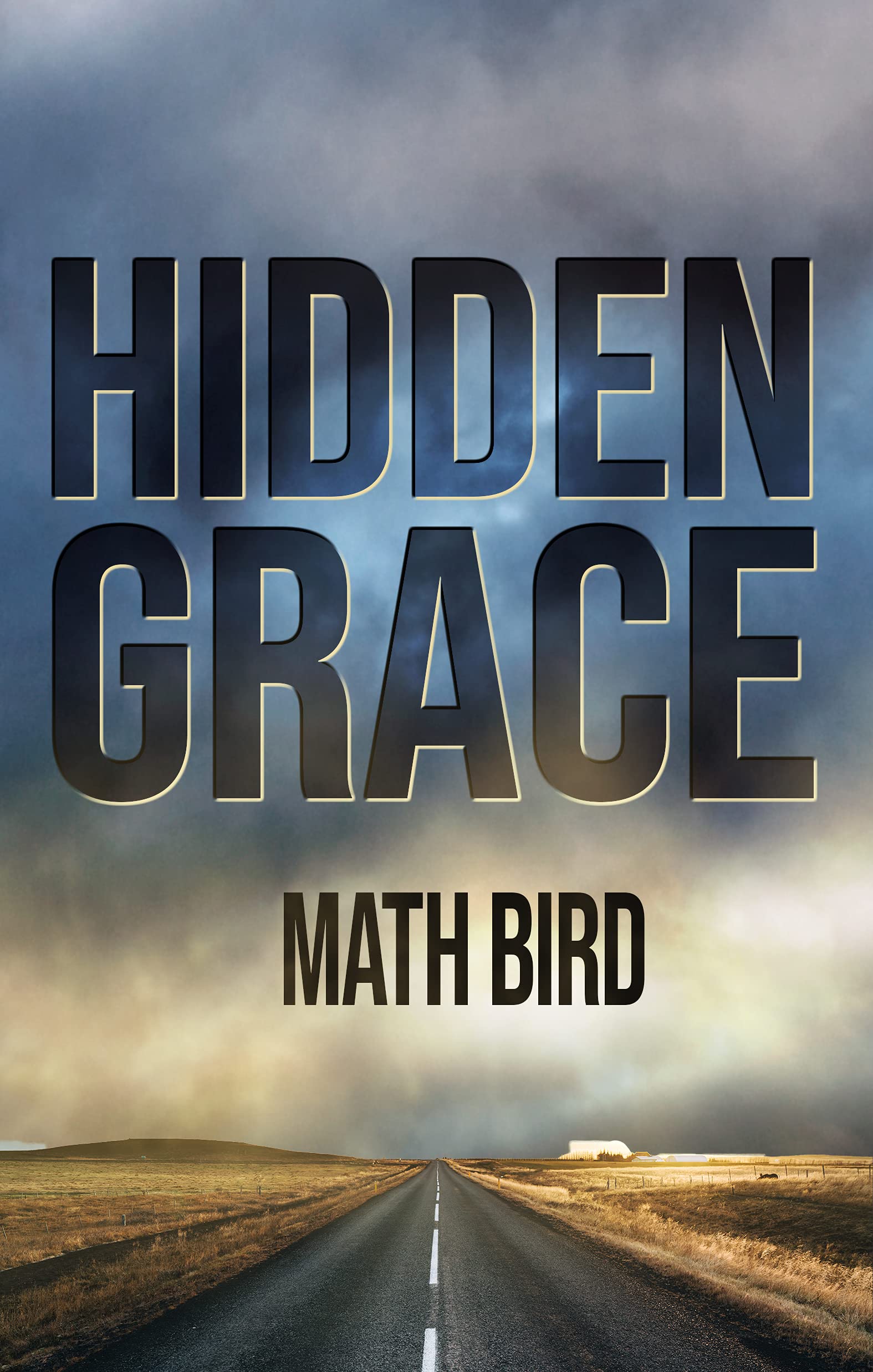 Hidden Grace (A Ned Flynn Novel)