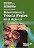 Reinventando a Paulo Freire...