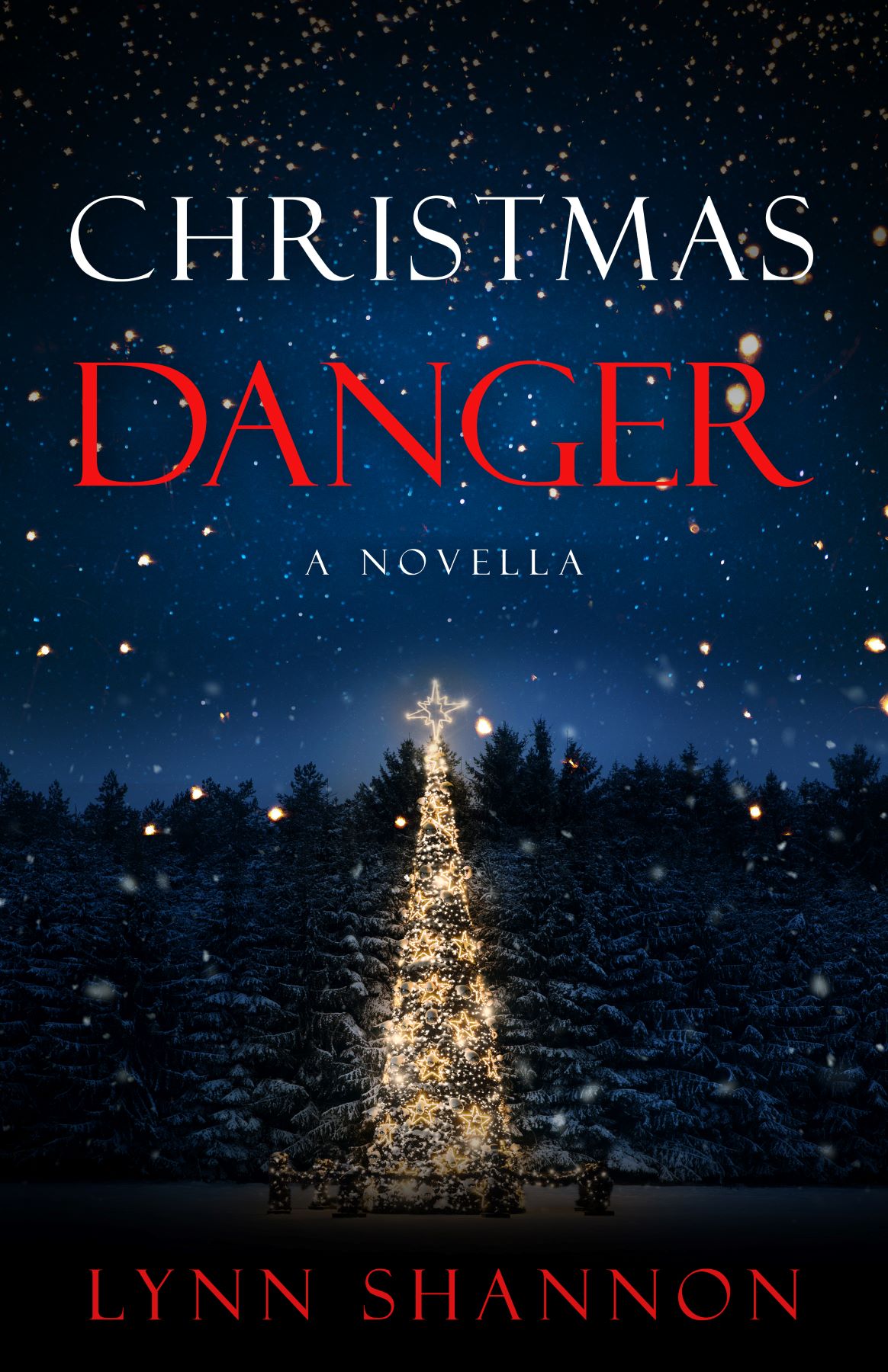 Christmas Danger (Hazardous Holiday #1)