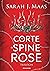 Una corte di spine e rose (Una corte di spine e rose, #1-3.5)