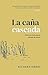 La Cana Cascada - aliento de Cristo para los decaídos de corazón