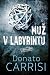 Muž v labyrintu by Donato Carrisi