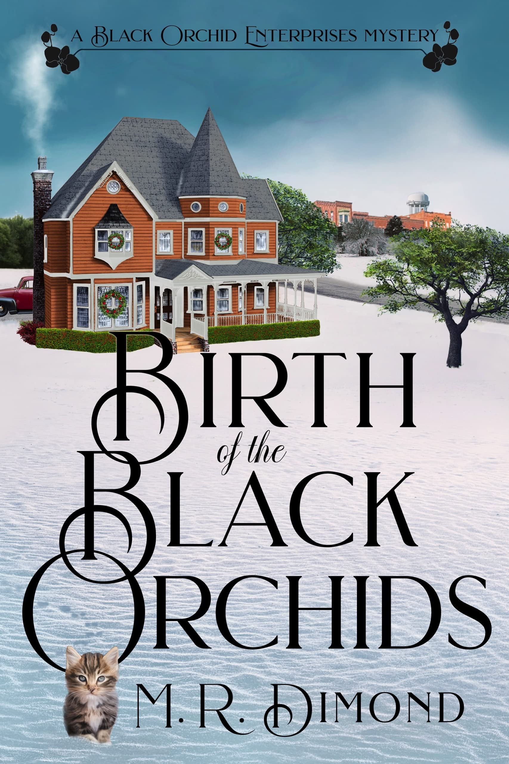 Birth of the Black Orchids (Black Orchid Enterprises #1)