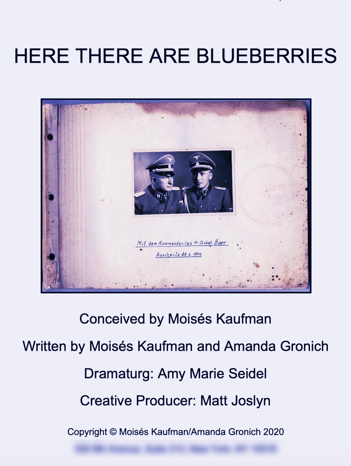 Here There Are Blueberries