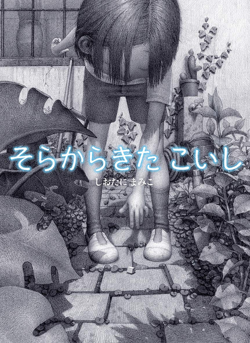 そらからきたこいし (Hardcover)