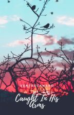 Caught In His Arms (Arms Trilogy, #1)