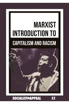 Marxist Introduction to Capitalism and Racism (ebook)