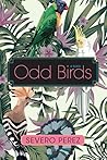 Odd Birds by Severo Perez