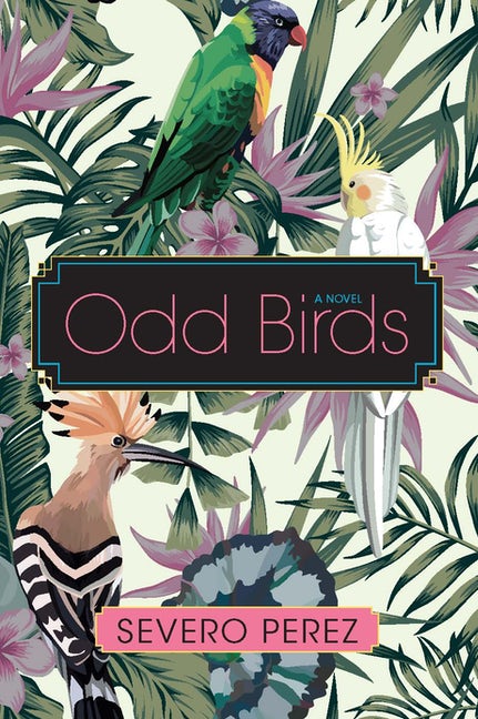 Odd Birds (Hardcover)