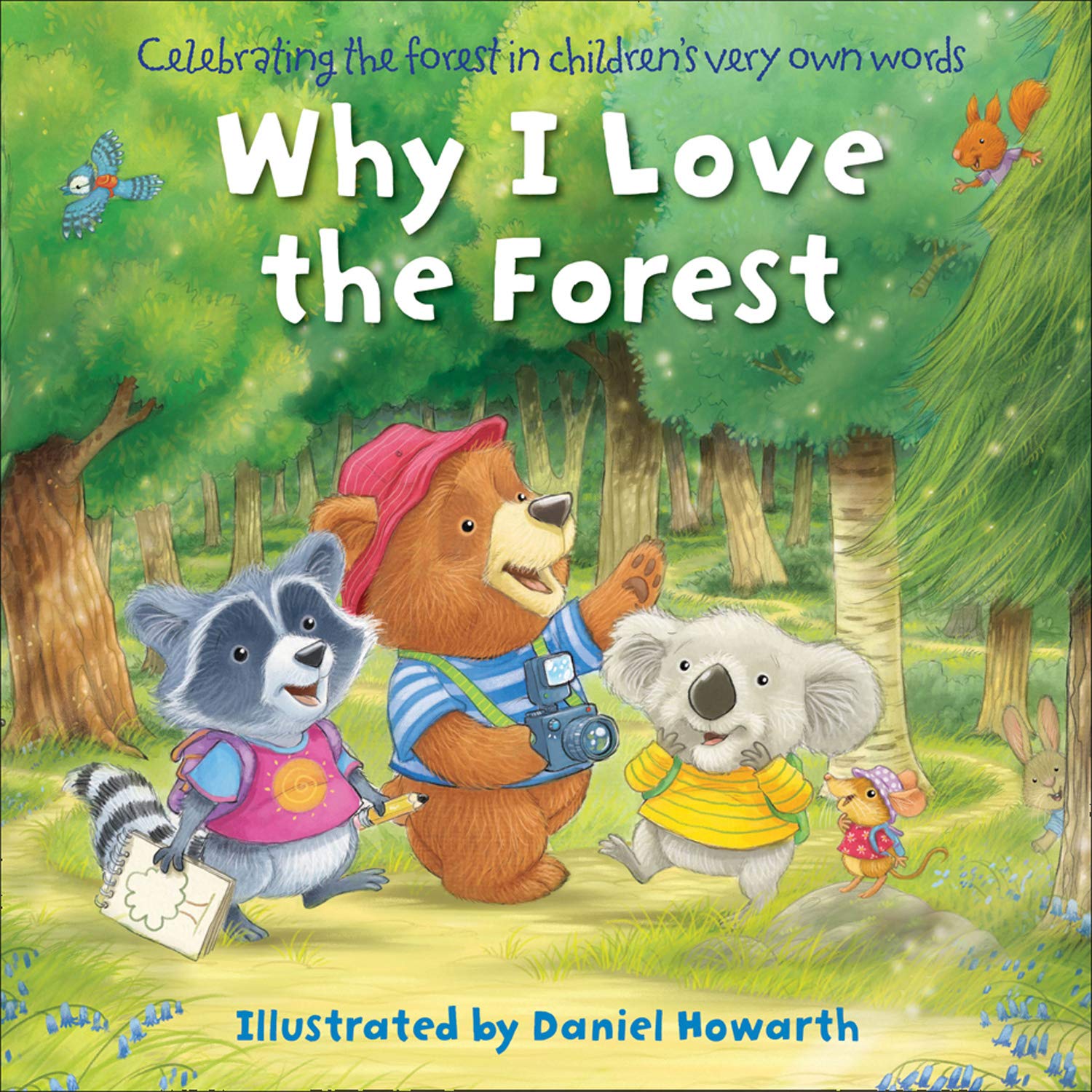 Why I Love the Forest (Board Book)