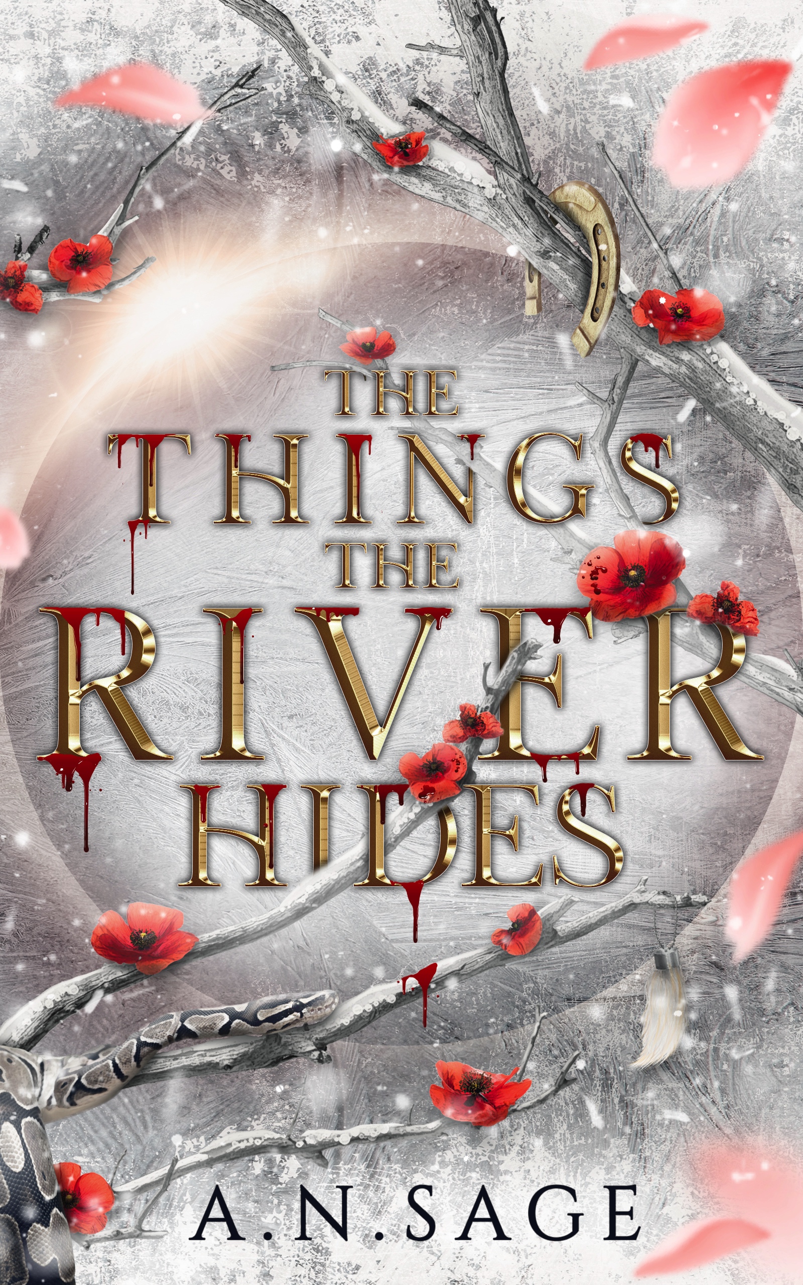 The Things the River Hides (Kindle Edition)