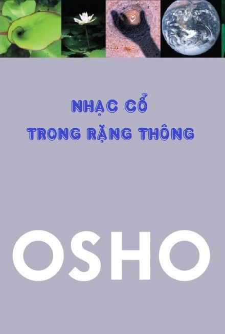 Nhạc Cổ Trong Rặng Thông (Unknown Binding)