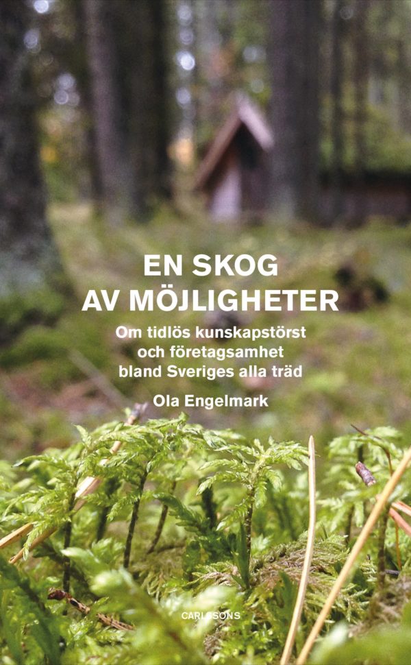 En skog av möjligheter: Om tidlös kunskapstörst och företagsamhet bland Sveriges alla träd