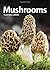 Mushrooms Playing Cards