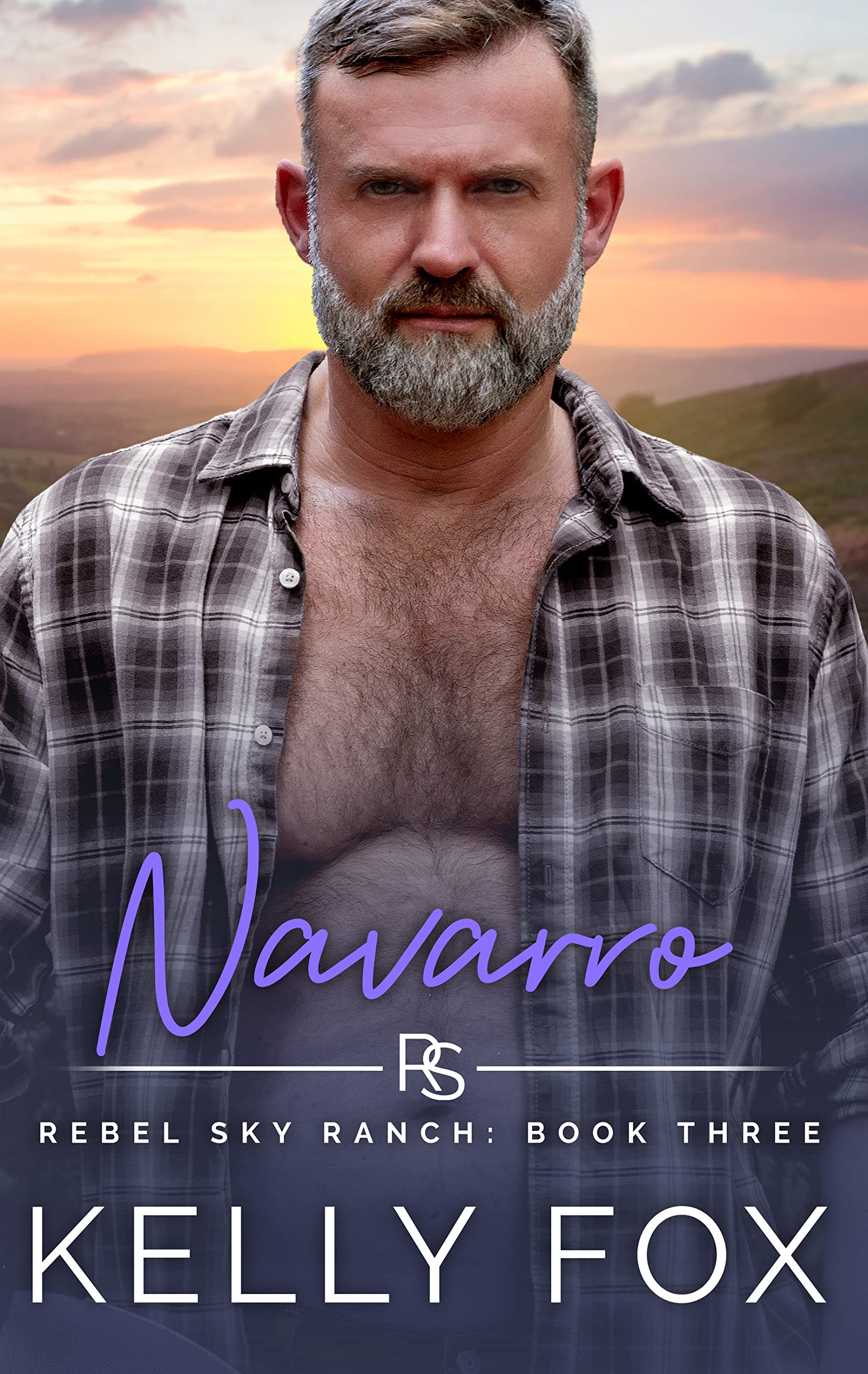 Navarro (Rebel Sky Ranch #3)