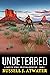 Undeterred: (A Carsten McNe...