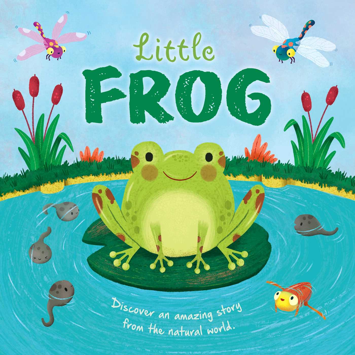 Nature Stories: Little Frog-Discover an Amazing Story from the Natural World: Padded Board Book (Board Book)