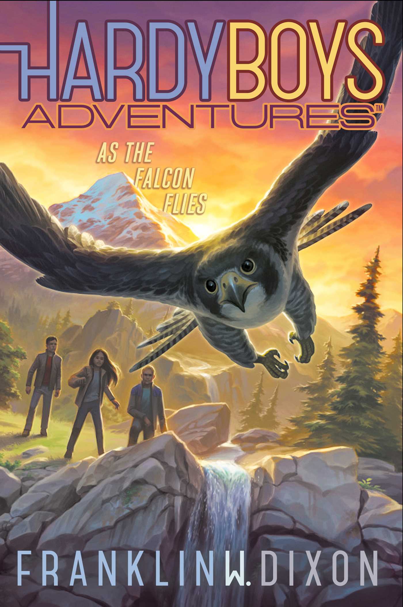 As the Falcon Flies (Hardy Boys Adventures)