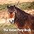 The Native Pony Book (The N...