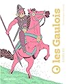 Les Gaulois à l'oeil nu (French Edition)