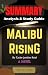 Summary Of Malibu Rising by Anis Classics