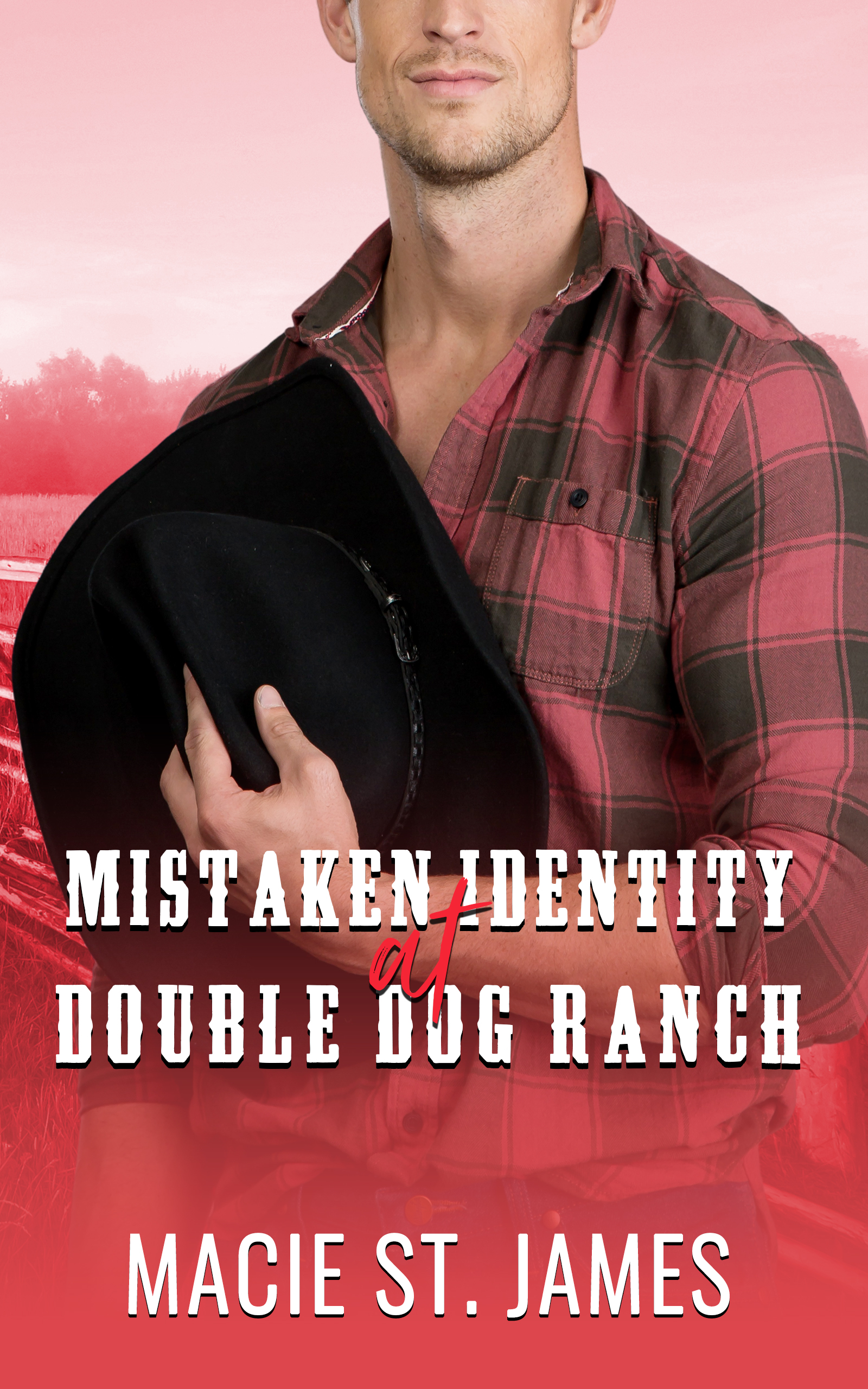 Mistaken Identity at Double Dog Ranch (Double Dog Ranch, #1)