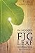 The Modern Fig Leaf: Uncovering Your True Identity