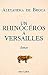 Un rhinocéros à Versailles
