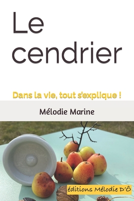 Le cendrier: Dans la vie, tout s’explique ! (French Edition)