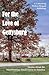 For the Love of Gettysburg by Mary E. Jung
