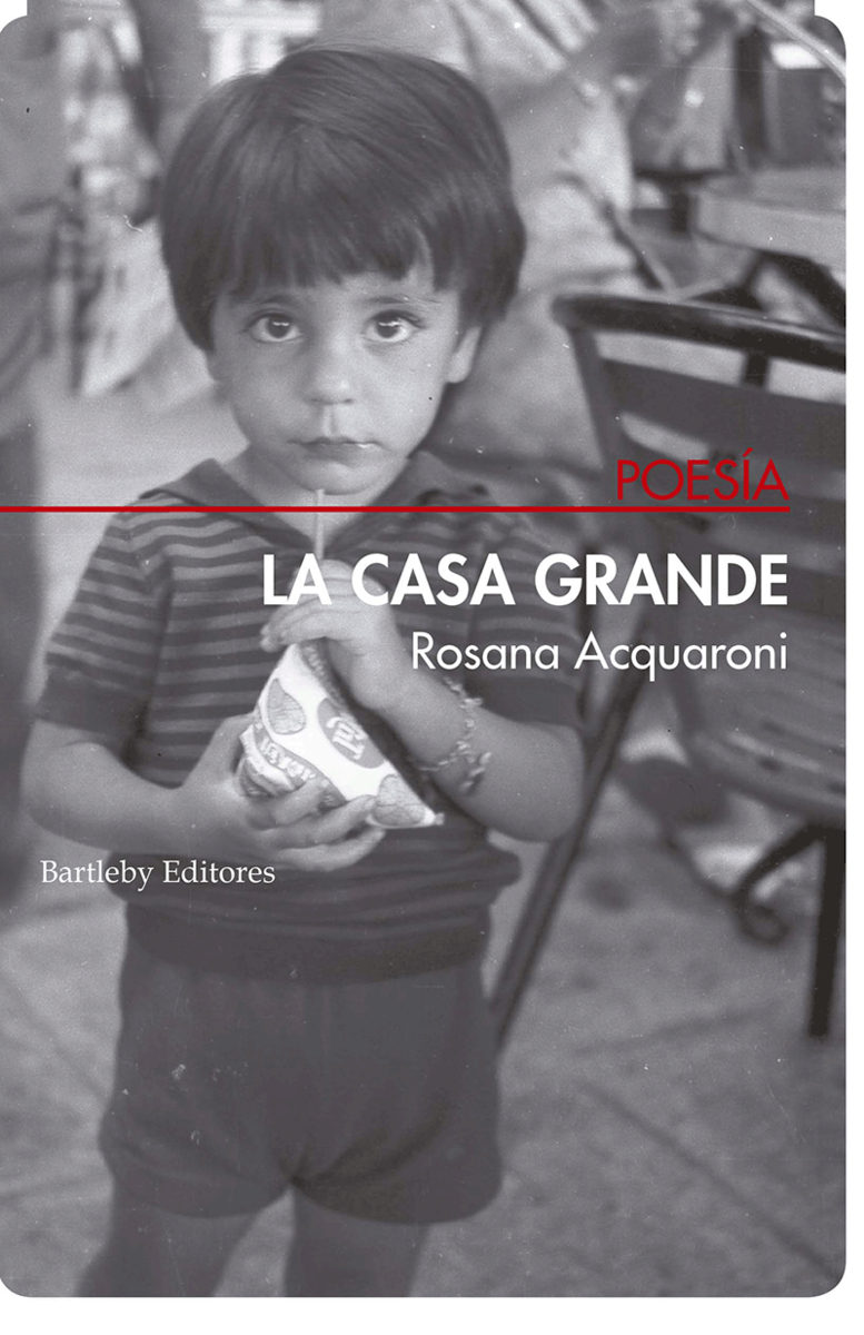 La casa grande (Paperback)