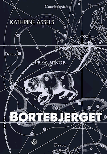 Bortebjerget (Hardcover)