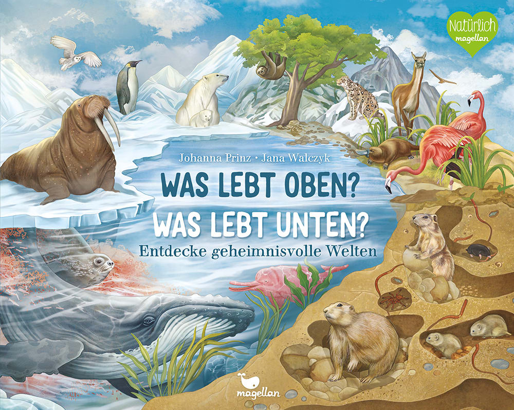 Was lebt oben? Was lebt unten?: Entdecke geheimnisvolle Welten (Hardcover)