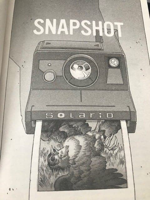 Snapshot