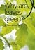 Why Are Leaves Green?
