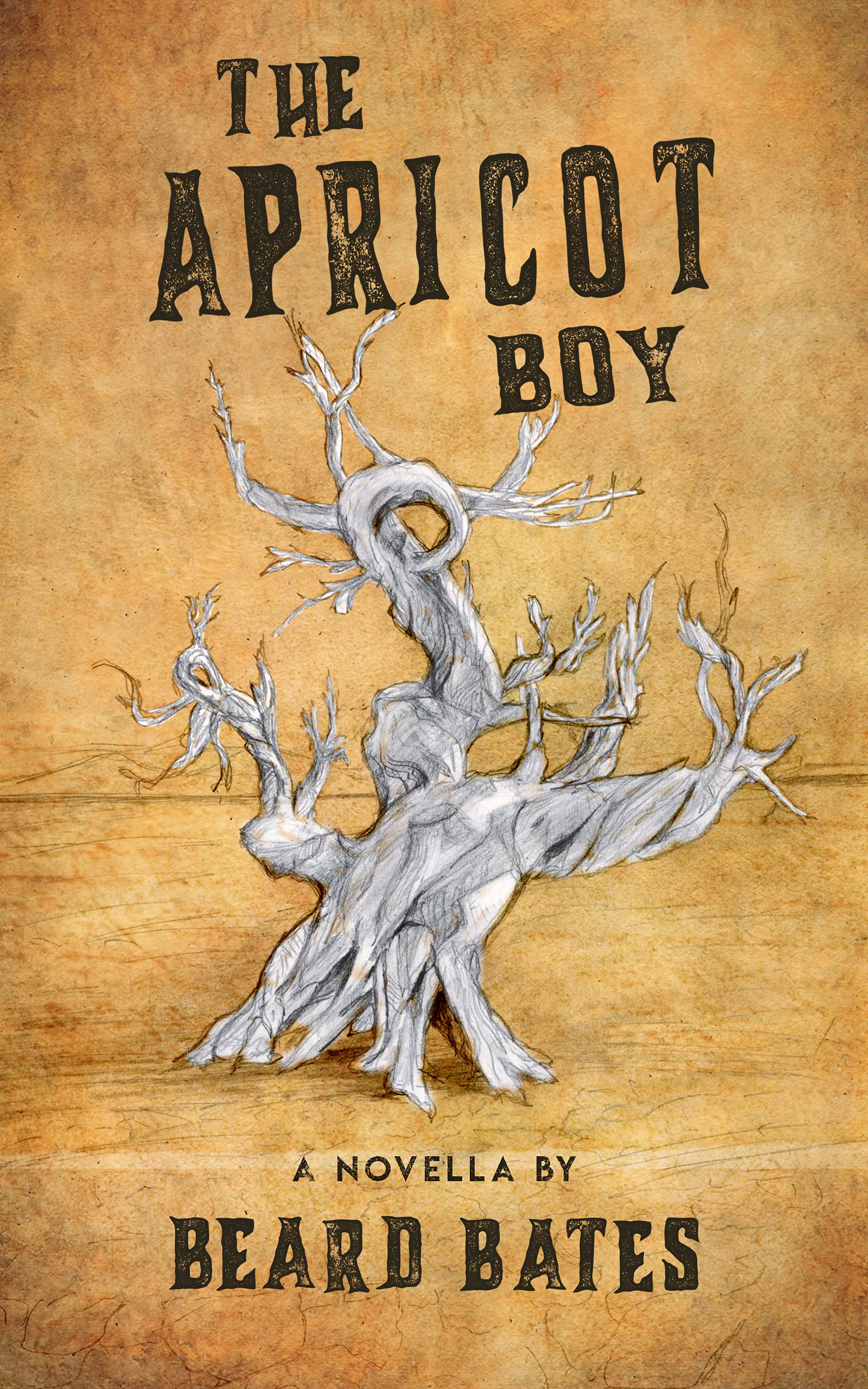 The Apricot Boy: A Novella (Kindle Edition)