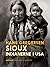 Sioux indianerne i USA