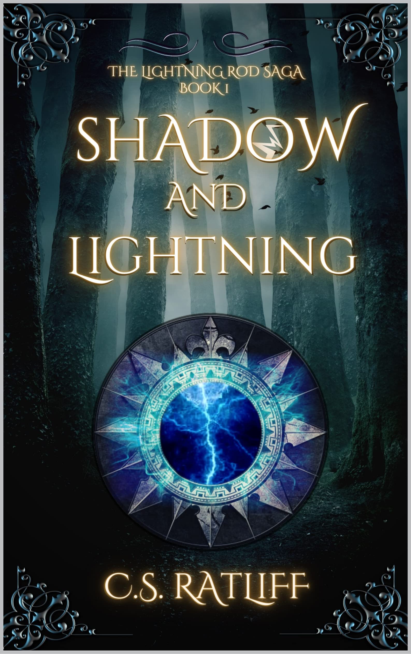 Shadow and Lightning (The Lightning Rod Saga, #1)