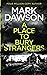 A Place To Bury Strangers (Atticus Priest #2)