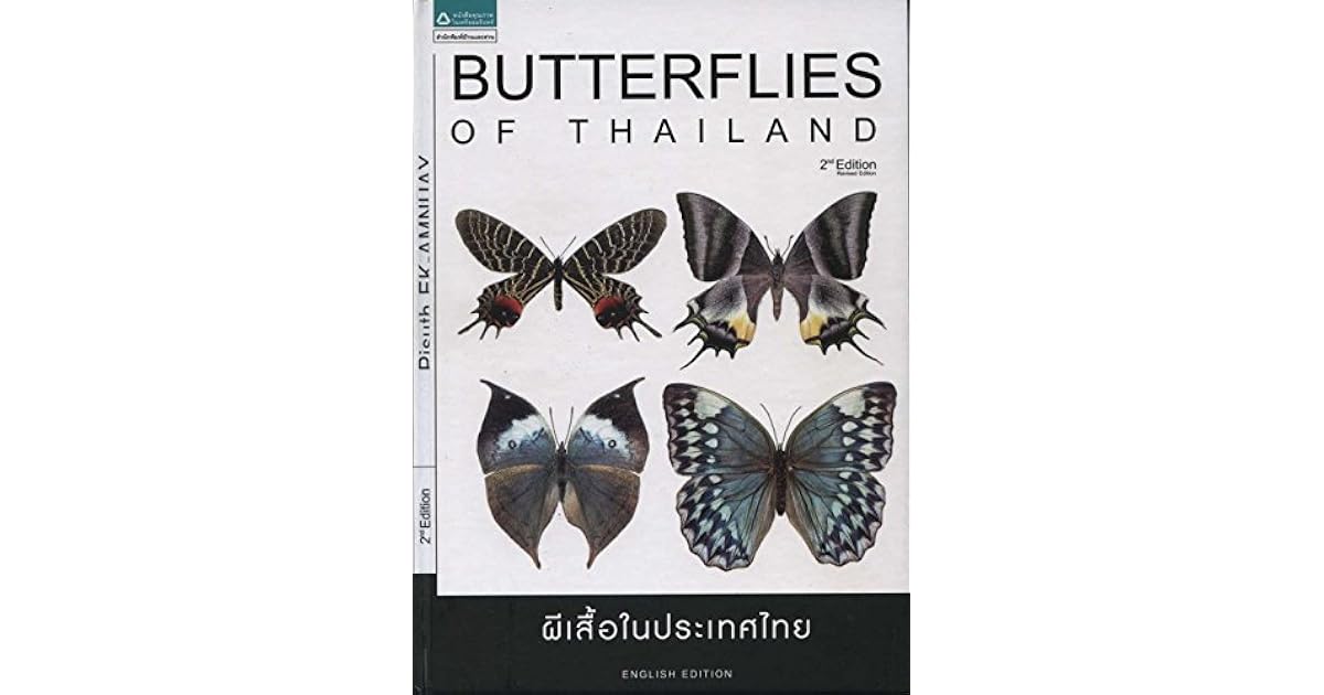 Butterflies of Thailand by Pisuth EkAmnuay