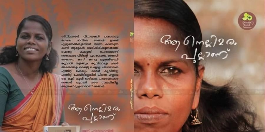 ആ നെല്ലിമരം പുല്ലാണ്/aa nellimaram pullanu
