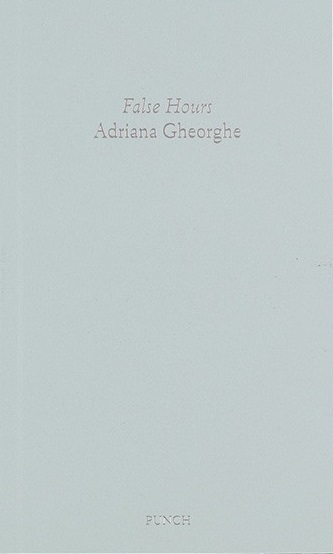 False Hours (Paperback)