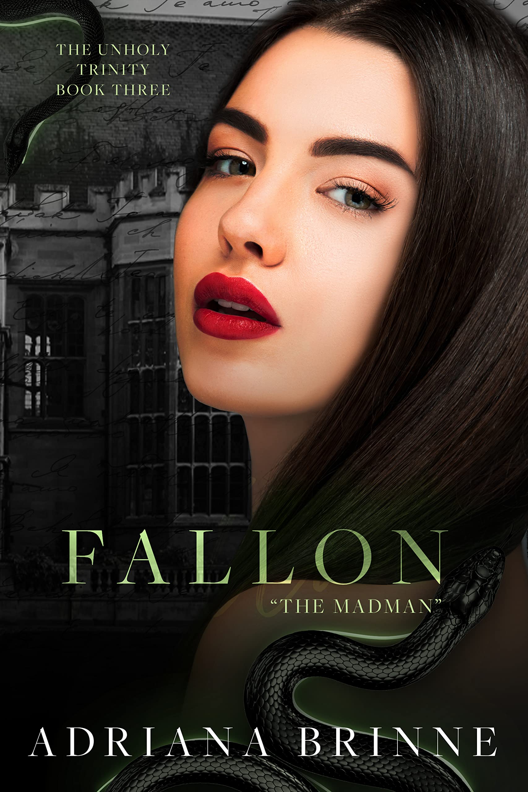 Fallon: "The Madman" (Unholy Trinity, #3)