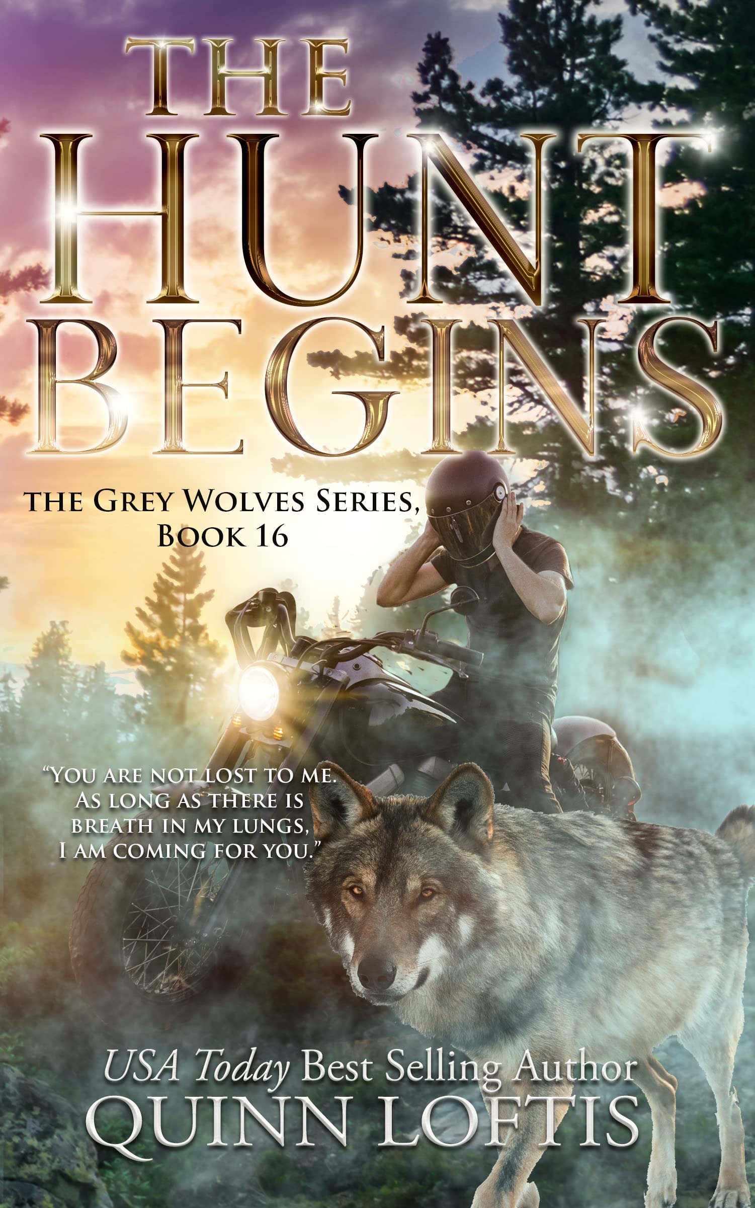 The Hunt Begins (The Grey Wolves, #16)
