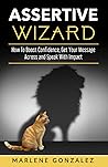 ASSERTIVE WIZARD: STRATEGIES TO BOOST CONFIDENCE, REGAIN YOUR POWER AND GET YOUR MESSAGE ACROSS
