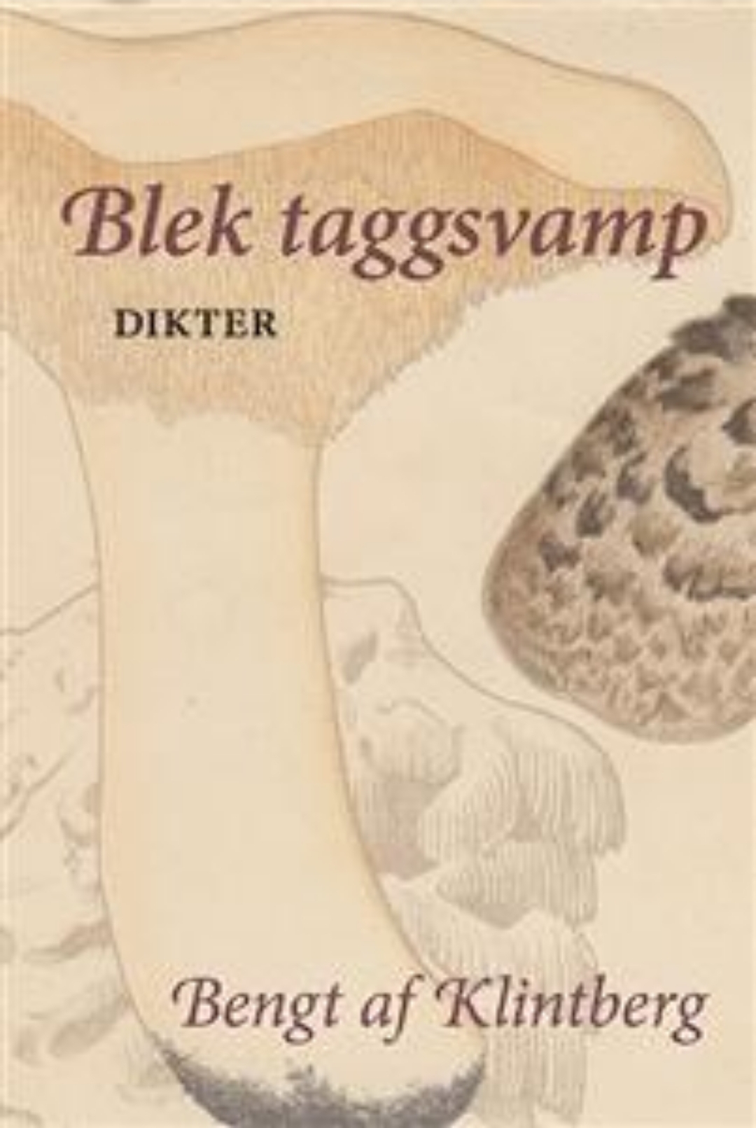 Blek taggsvamp (Paperback)