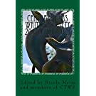 Central Texas Writers Society 2018 Anthology: Writers in the Heart of Texas and Beyond (Paperback)
