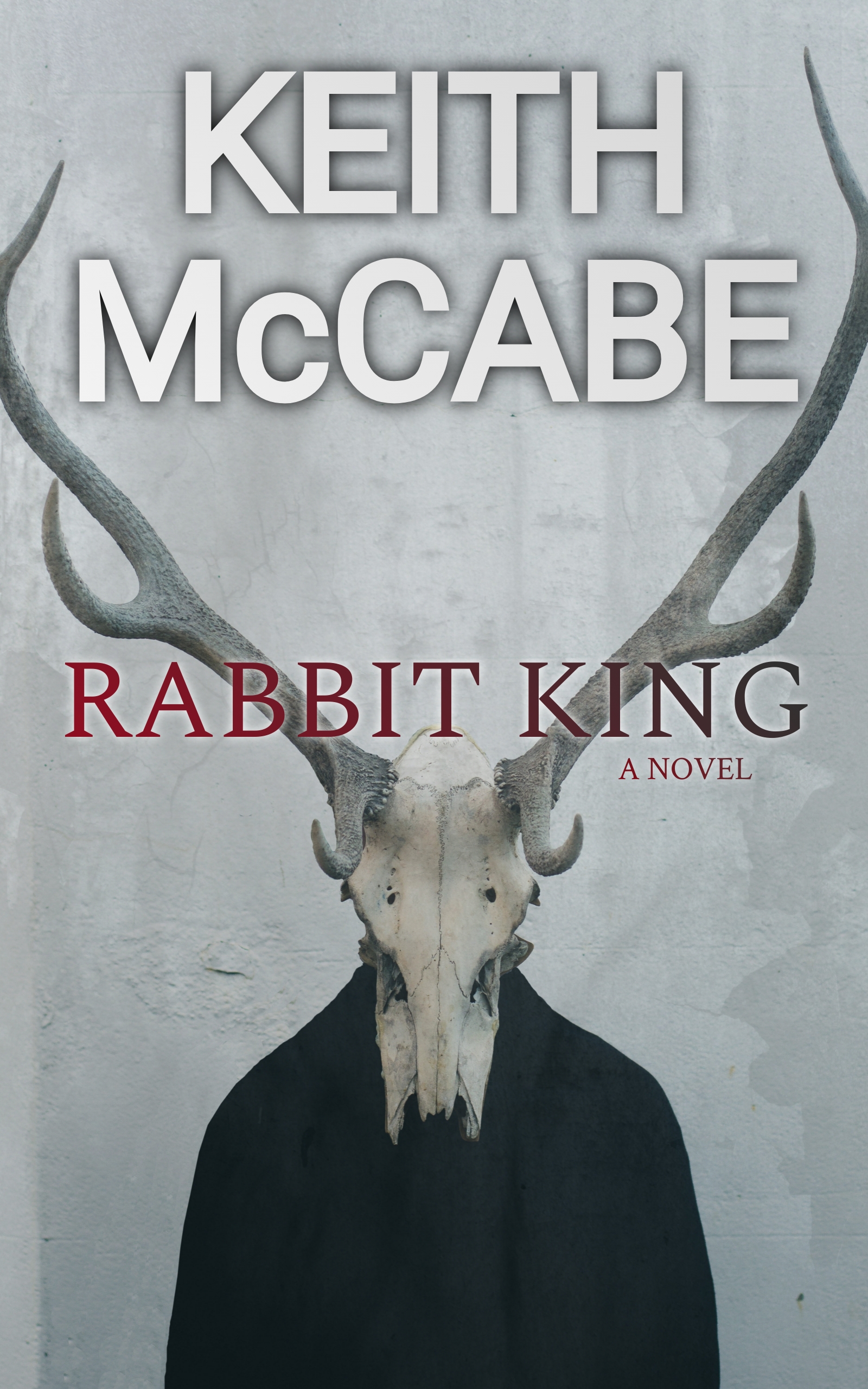Rabbit King (Paperback)