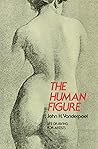 The Human Figure